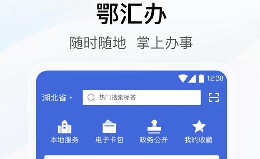 武漢鄂匯辦app醫保不能繳費是為什么