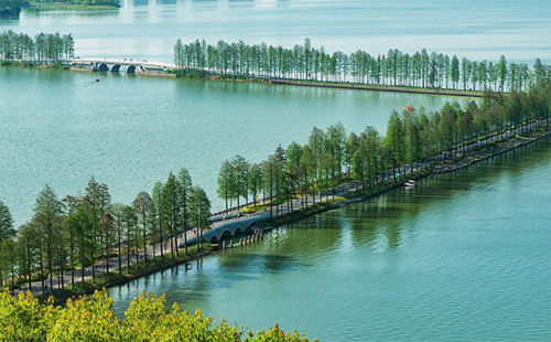 東湖綠道交通攻略 東湖綠道交通管制（時間+路段）