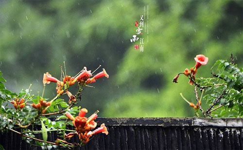 武漢周四將迎第四輪梅雨 汛期出行注意事項(xiàng)