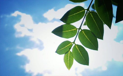 武漢未來三天天氣預報 國慶節期間將持續晴熱