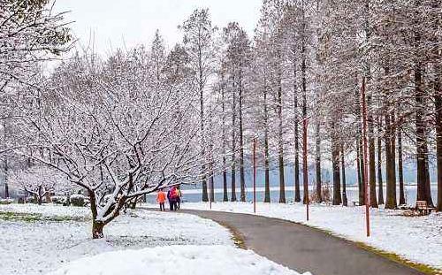 武漢今年冬天冷嗎 什么時候下雪(初雪時間)