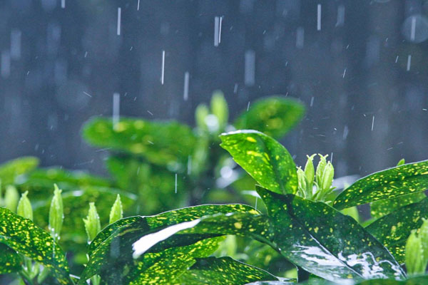 武漢未來天氣預報 氣溫浮動有陣雨