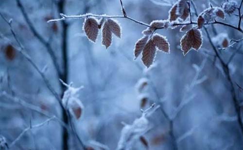 初雪后武漢多云轉陰天為主