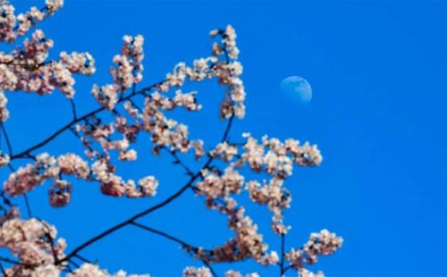 武漢未來三天天氣查詢（2月23日-2月25日）