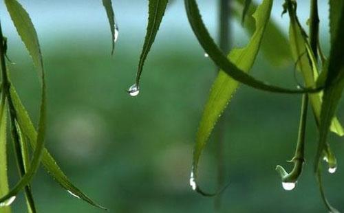 武漢預計今日將進入梅雨期