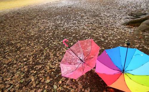 武漢降雨量圖表柱狀圖8月20日07時