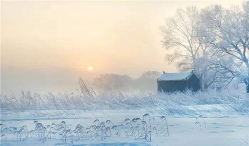 武漢大雪如約而至（1月28日）