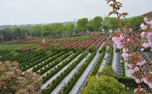 武漢孝恩園陵園可以帶香蠟紙錢嗎