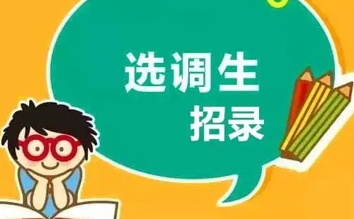 湖北省選調生招錄2022年公告