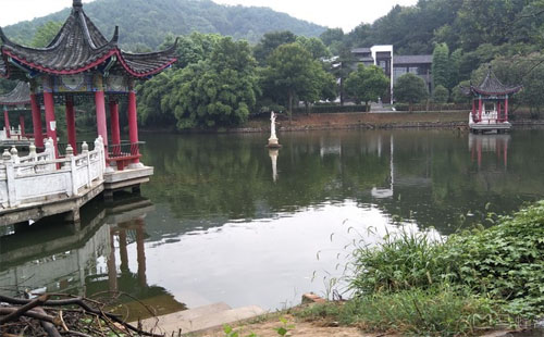 公園2.jpg