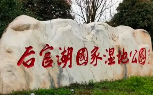 蔡甸后官湖濕地公園要門票嗎