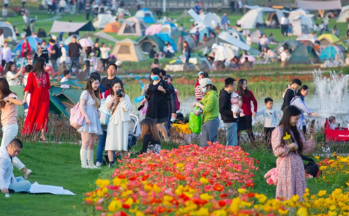 2024春節武漢花博匯活動一覽