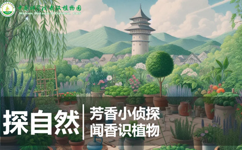 武漢植物園11月30日探自然活動(dòng)報(bào)名方式