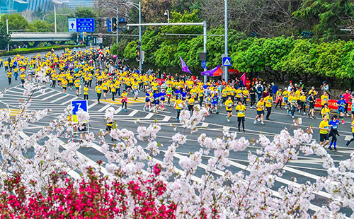 武漢馬拉松免費(fèi)和半價景區(qū)名單2025