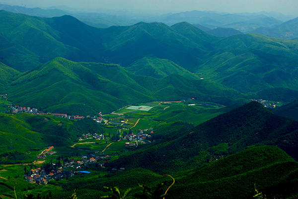 莫干山適合避暑嗎 八月份旅游去莫干山怎么樣