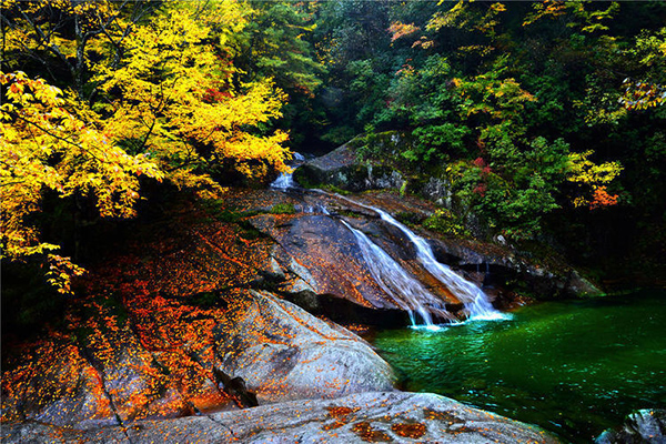 國內哪里賞紅葉最好 光霧山適合賞紅葉嗎