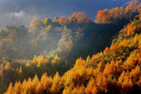 國內賞紅葉景點推薦 秦嶺賞紅葉怎么樣