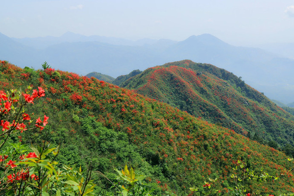 武漢去武功山的旅游攻略 武功山有哪些好玩的景點(開放時間+門票+交通)