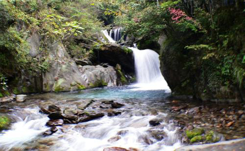 湖北神農架旅游景區10-12月門票優惠詳情(含旅游攻略)