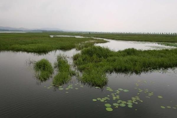 于橋水庫讓釣魚嗎 于橋水庫釣魚多少錢