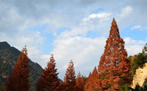 杭州大明山景區門票及優惠政策2020_開放了嗎_滑雪場價格