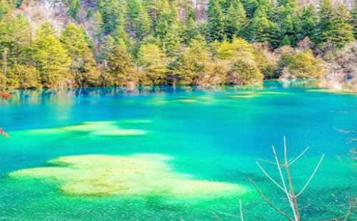 九寨溝火花海還能恢復(fù)嗎 九寨溝火花海將開放