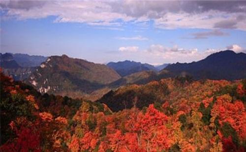 2020年光霧山紅葉節（時間+地點+路線） 最佳看楓葉的地方