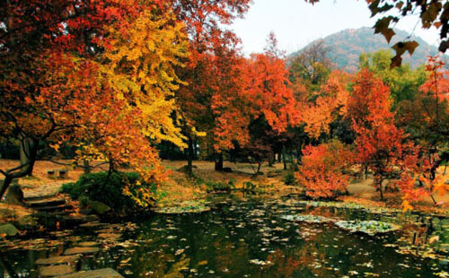 蘇州天平山門票多少錢 要預約嗎