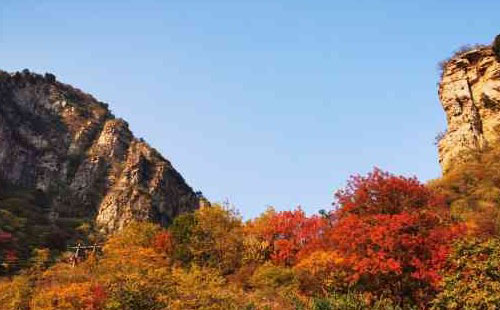 北京上方山國(guó)家森林公園好玩嗎（景點(diǎn)推薦＋交通＋動(dòng)物種類(lèi)）