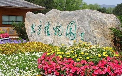 2021北京植物園現在有什么花(附賞花時間表)