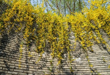 北京紫竹院公園有什么好玩的