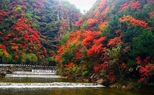 老君山秋天景色好看嗎_值得去嗎