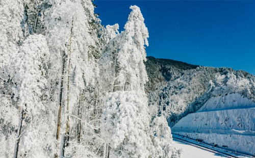 滑雪場2.jpg