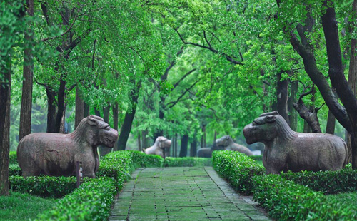 南京明孝陵需要預約嗎（預約指南+門票價格）