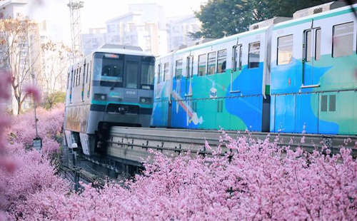 重慶開(kāi)往春天的列車打卡攻略（賞花地點(diǎn)+路線）