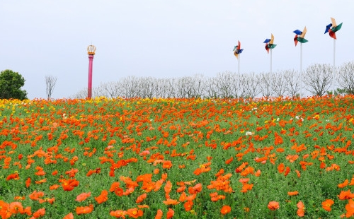 2022成都蔚然花海最佳旅游什么時候（門票價格+交通指南）