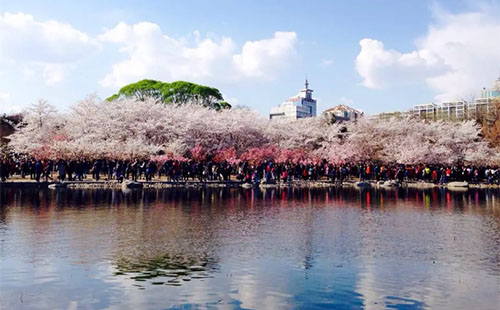 北京玉淵潭公園需要身份證嗎