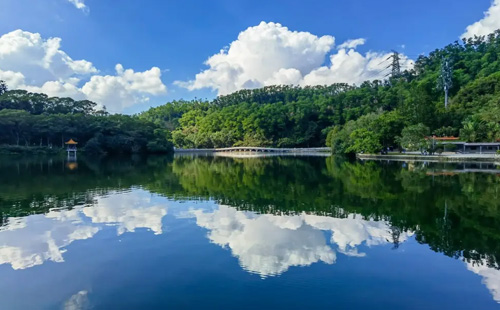 深圳仙湖植物園離地鐵站有多遠