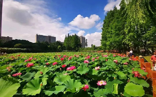 2023上海星級公園名單最新(完整名單)