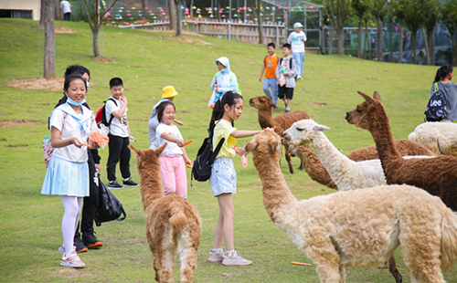 2023南京金牛湖野生動物園免費開放日怎么預約(時間+入口+流程)