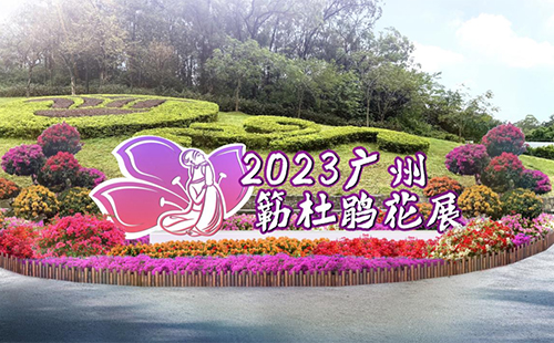 2023廣州簕杜鵑花展時間+地點+門票