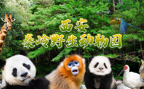 西安秦嶺野生動物園門票價格和門票優(yōu)惠政策2025