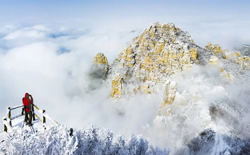 河北白石山景區免票時間2025