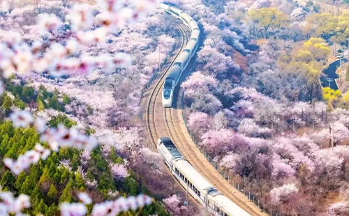 居庸關(guān)花海最佳觀賞時(shí)間2025