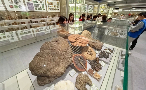 北京中醫藥大學中醫藥博物館預約入口及開放時間