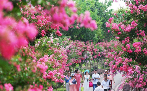 武漢推出工會會員公園年票受追捧