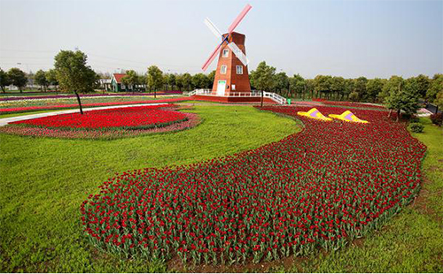 2019武漢郁金香主題公園國慶節活動（旗袍走秀）