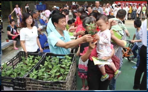 2020年武漢植物園免費贈送菊花苗活動開啟