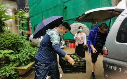 本周武漢植物園贈(zèng)菊苗社區(qū)名單