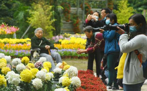 武漢解放公園菊花展2020什么時候開展